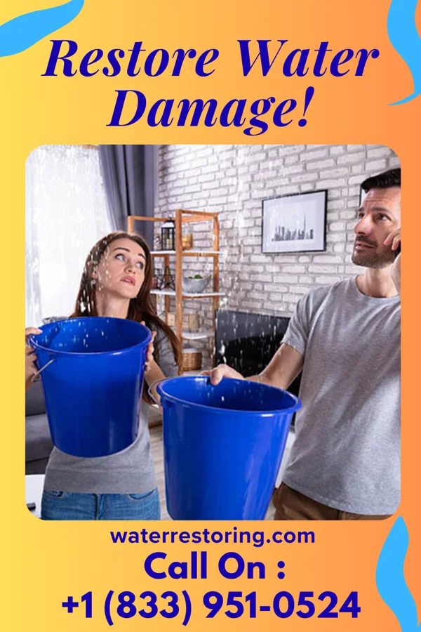 water restoration Elite Water Damage Masters Pakala Village