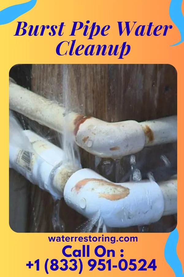 Burst Pipe Water Cleanup in Pakala Village, HI