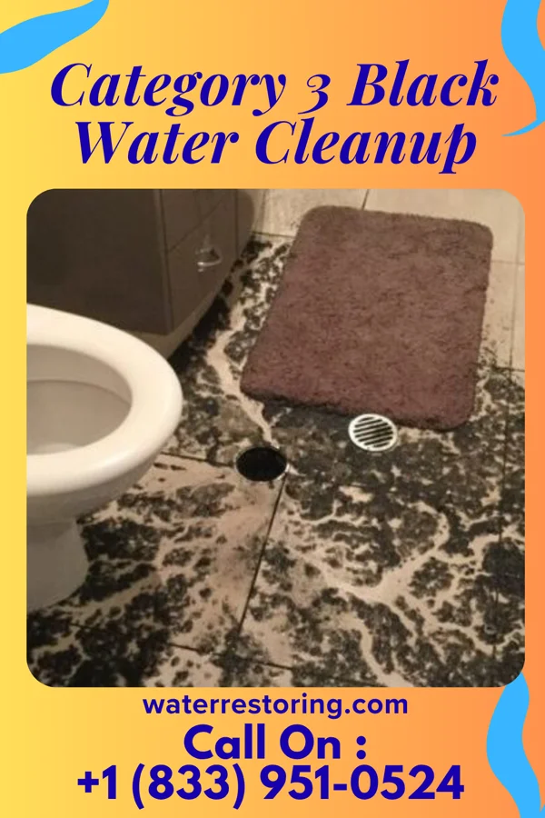 Category 3 Black Water Cleanup in Pakala Village, HI
