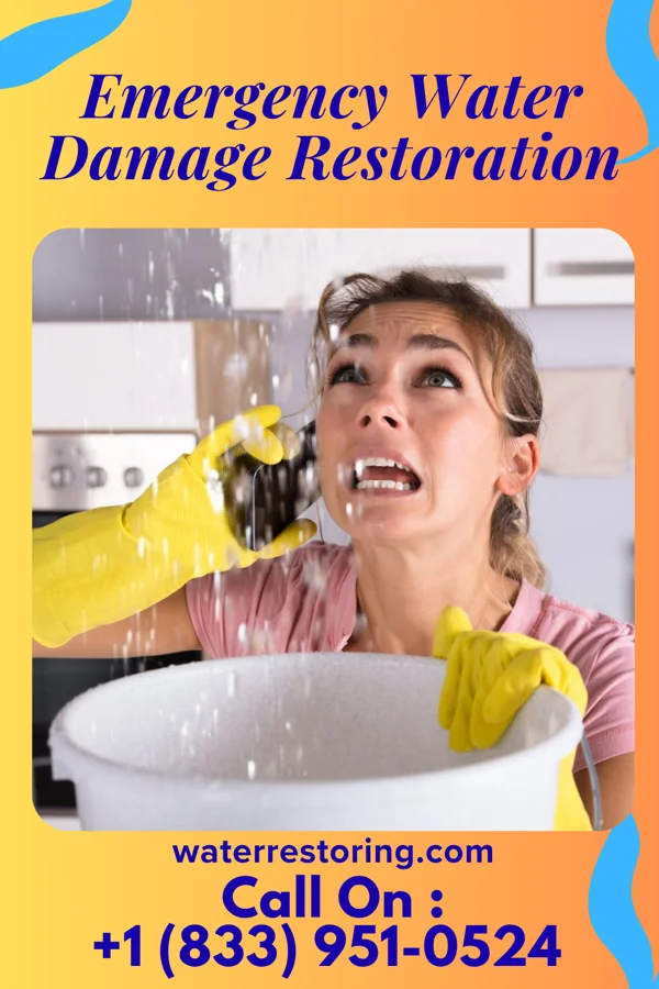 Emergency Water Damage Restoration in Pakala Village, HI